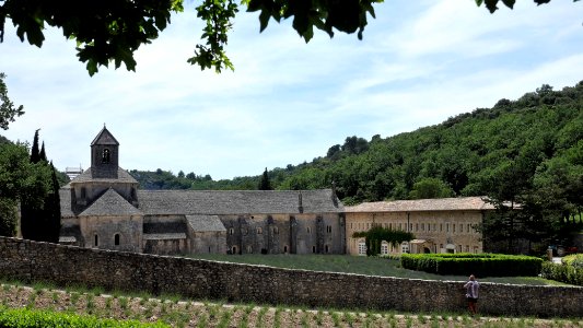 Abbaye de Senanque photo