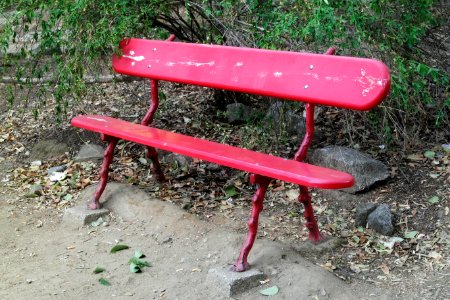 The Red Bench photo