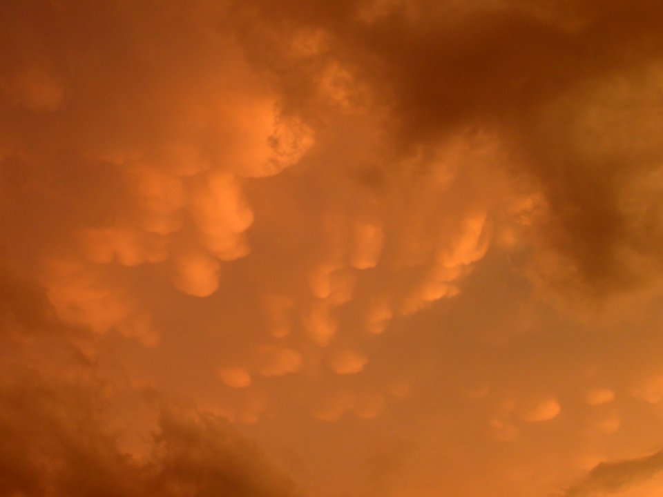 Storm Aftermath in Kennesaw - June 13th, 2013