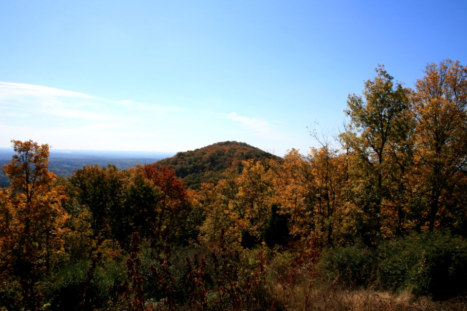 IMG 0784