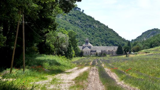 Abbaye de Sénanque photo