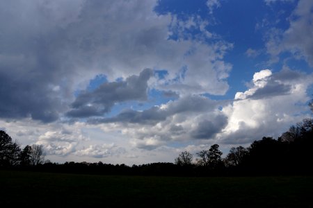 DSC00326