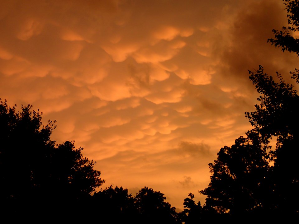 Storm Aftermath in Kennesaw - June 13th, 2013