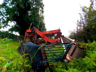 Potato Harvester