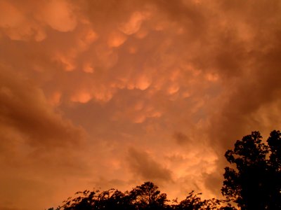 Storm Aftermath in Kennesaw - June 13th, 2013