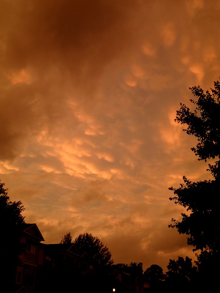 Storm Aftermath in Kennesaw - June 13th, 2013