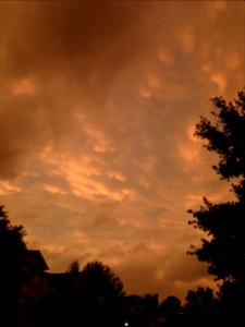Storm Aftermath in Kennesaw - June 13th, 2013