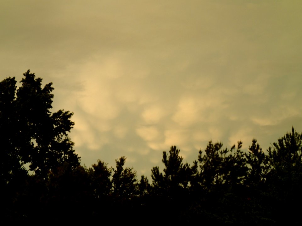 Storm Aftermath in Kennesaw - June 13th, 2013