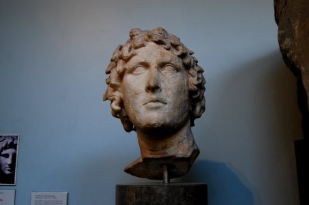 DSC 0687