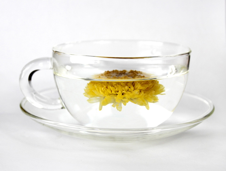 Cup tea chrysanthemum tea