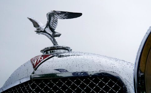 1935 Alvis Speed 20, eagle cooler mascot