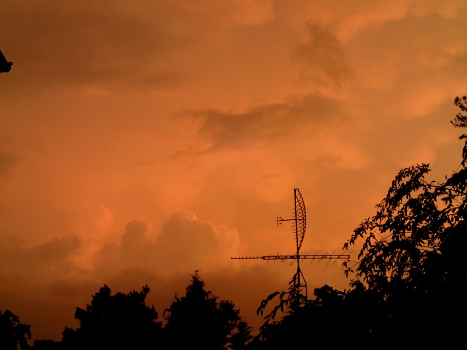 Storm Aftermath in Kennesaw - June 13th, 2013