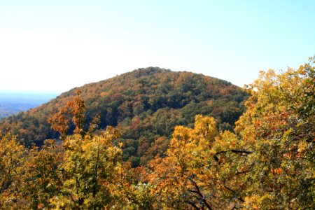 IMG 0800