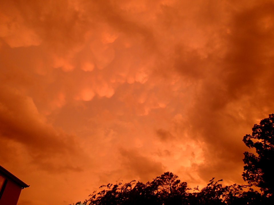 Storm Aftermath in Kennesaw - June 13th, 2013
