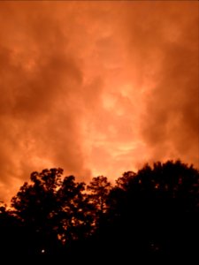 Storm Aftermath in Kennesaw - June 13th, 2013