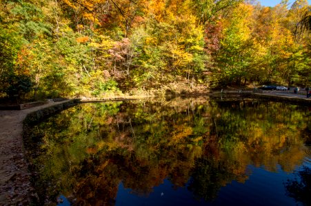 Day 303 - "Autumn is a second spring when every leaf is a flower." - Albert Camus