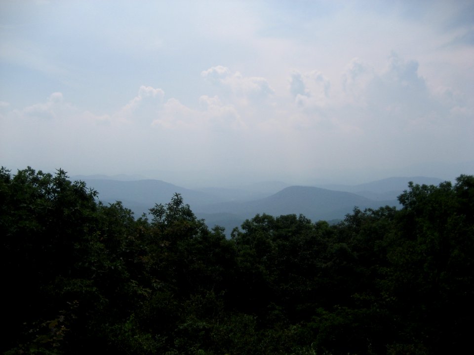 IMG 1555