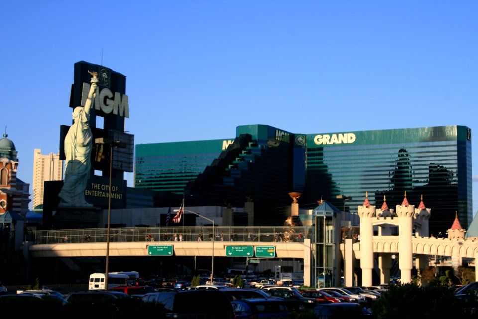 IMG 0355