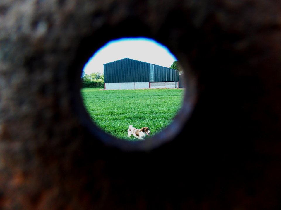 Through a gate post