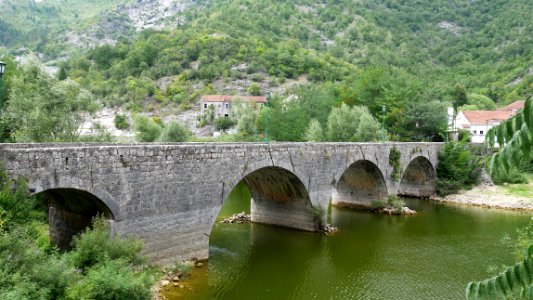 Lac de Shkodra, Monténégro