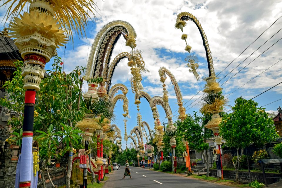 bali 19