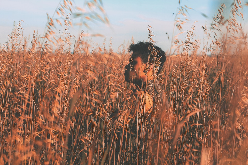 Field life scene
