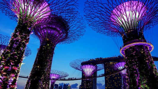 SINGAPORE 17