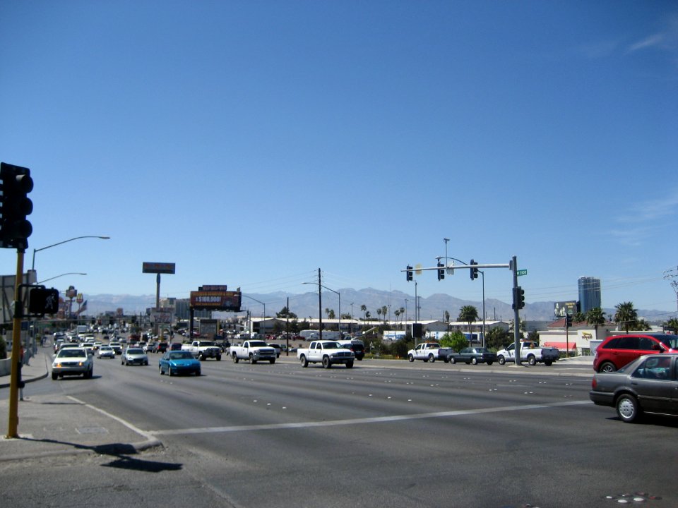 IMG 1456