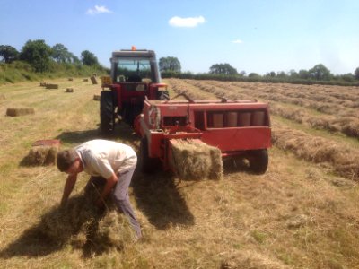 Making Hay