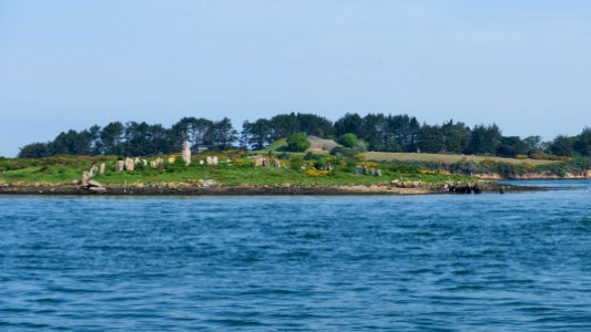 DSCF2196