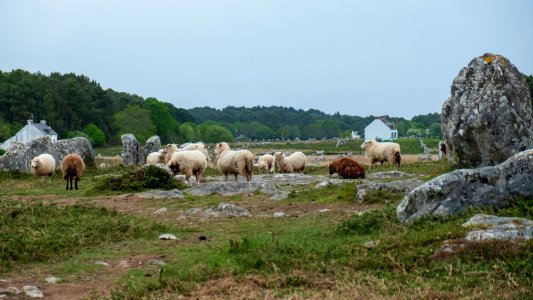 Alignements de Carnac
