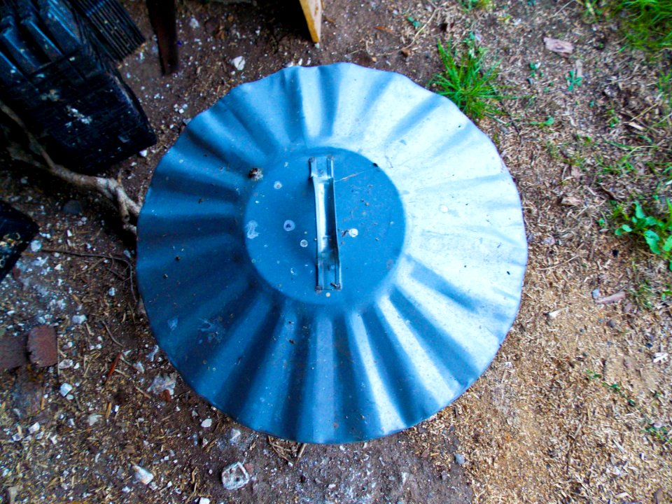 Bin Lid