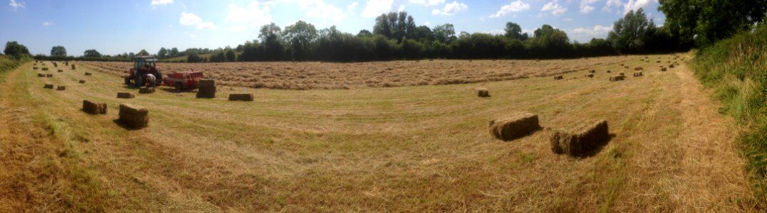 Making Hay
