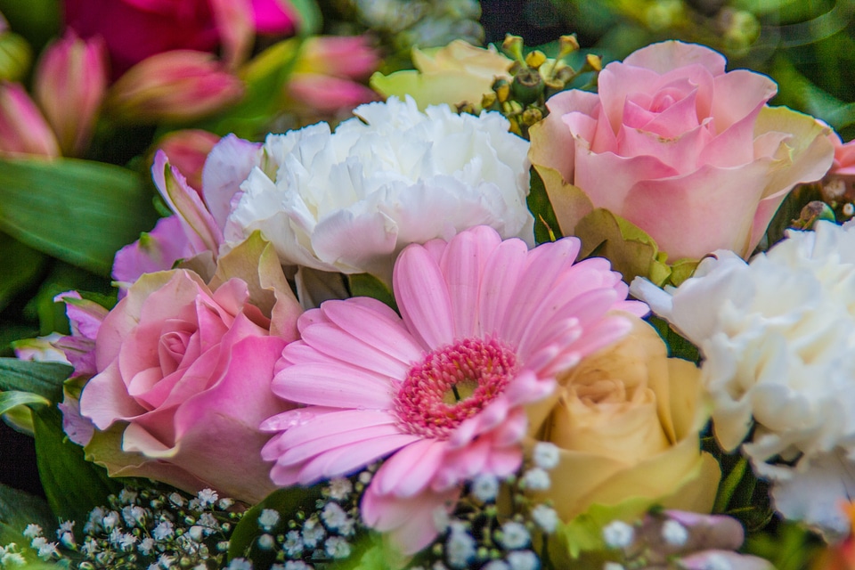Bouquet beautiful gift
