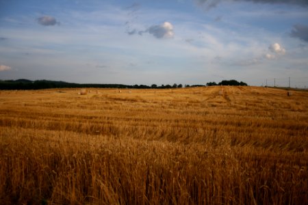 IMG 0543