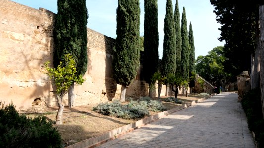 Castillo Gibralfaro