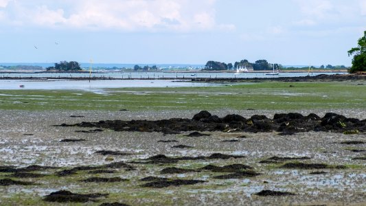 Marée basse photo