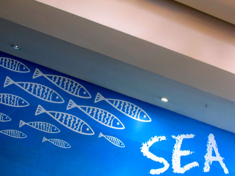 this place seems a bit fishy