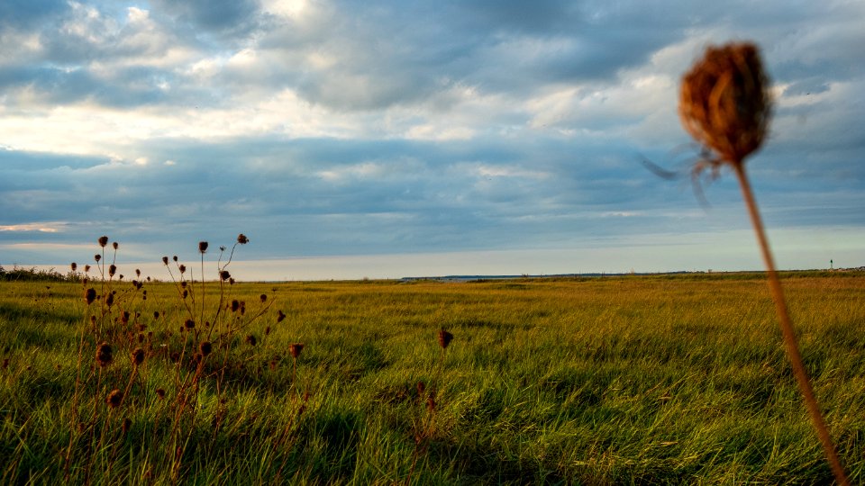 Baie de Somme