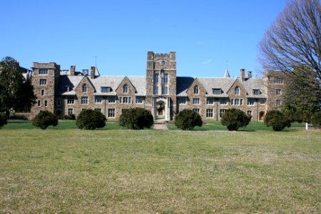 IMG 0195