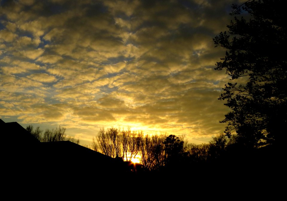 Day 343 - "It is almost impossible to watch a sunset and not dream." - Bern Williams