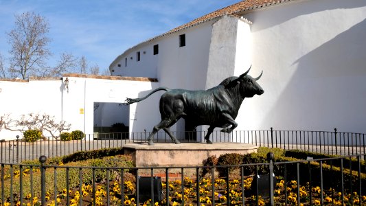 Places des taureaux