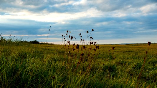 Baie de Somme