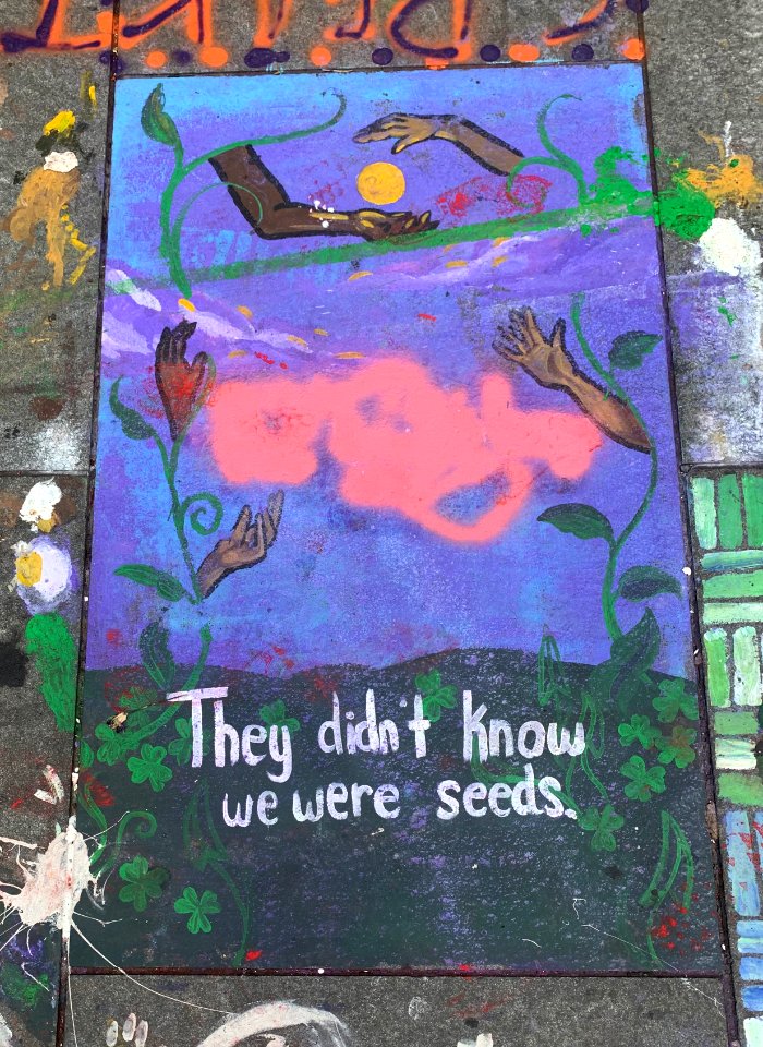They Didn t Know We Were Seeds
