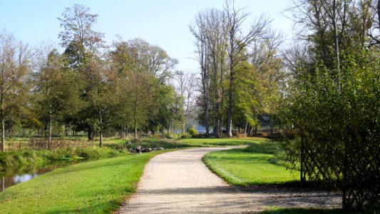 Jardin anglo-chinois