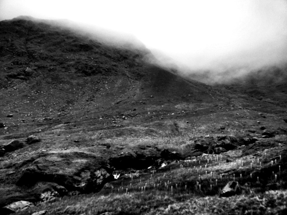Near Sadgill, Lake District