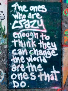 The ones who are crazy enough to think they can change the world are the ones that do.