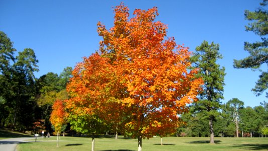 IMG 0616