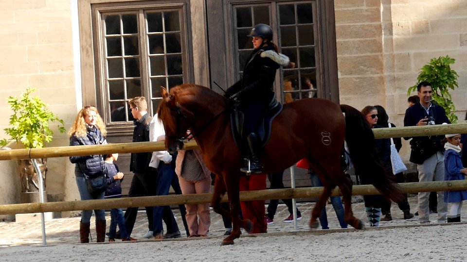 Cheval