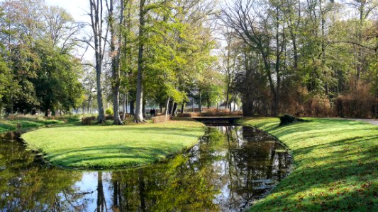 Jardin anglo-chinois